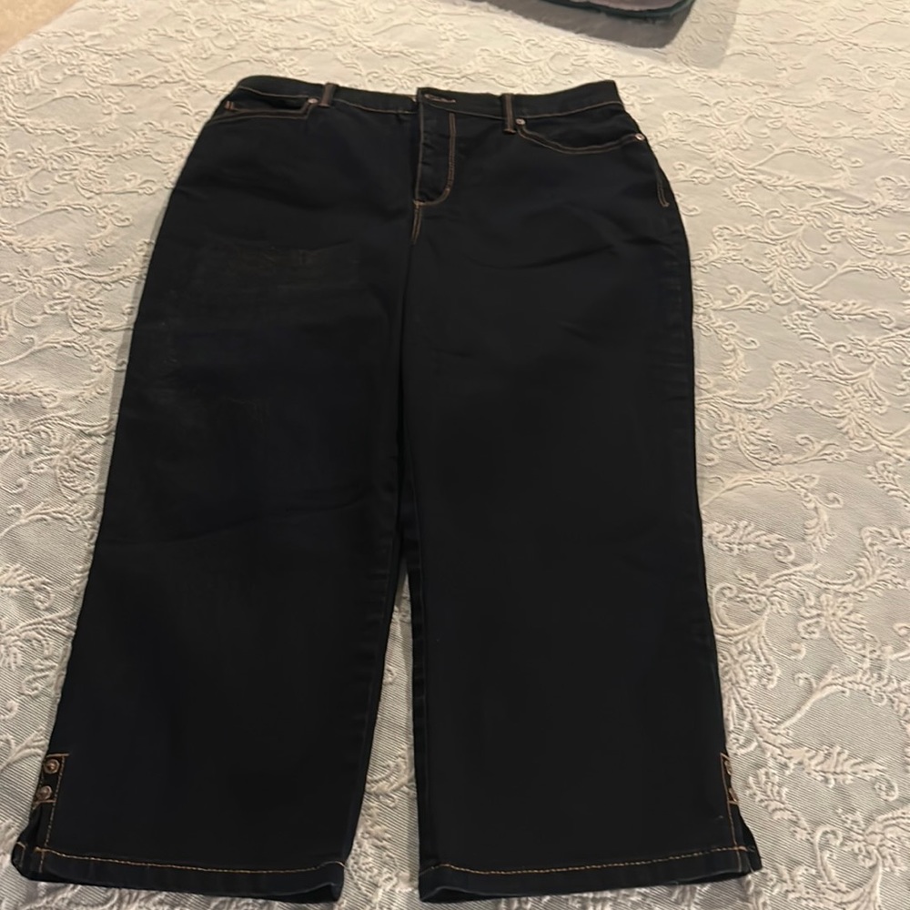 Gloria Vanderbelt Women’s Capris sz 8 NWOT